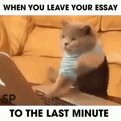 teacher reading essay meme
