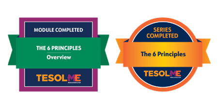 6 Principles Badges